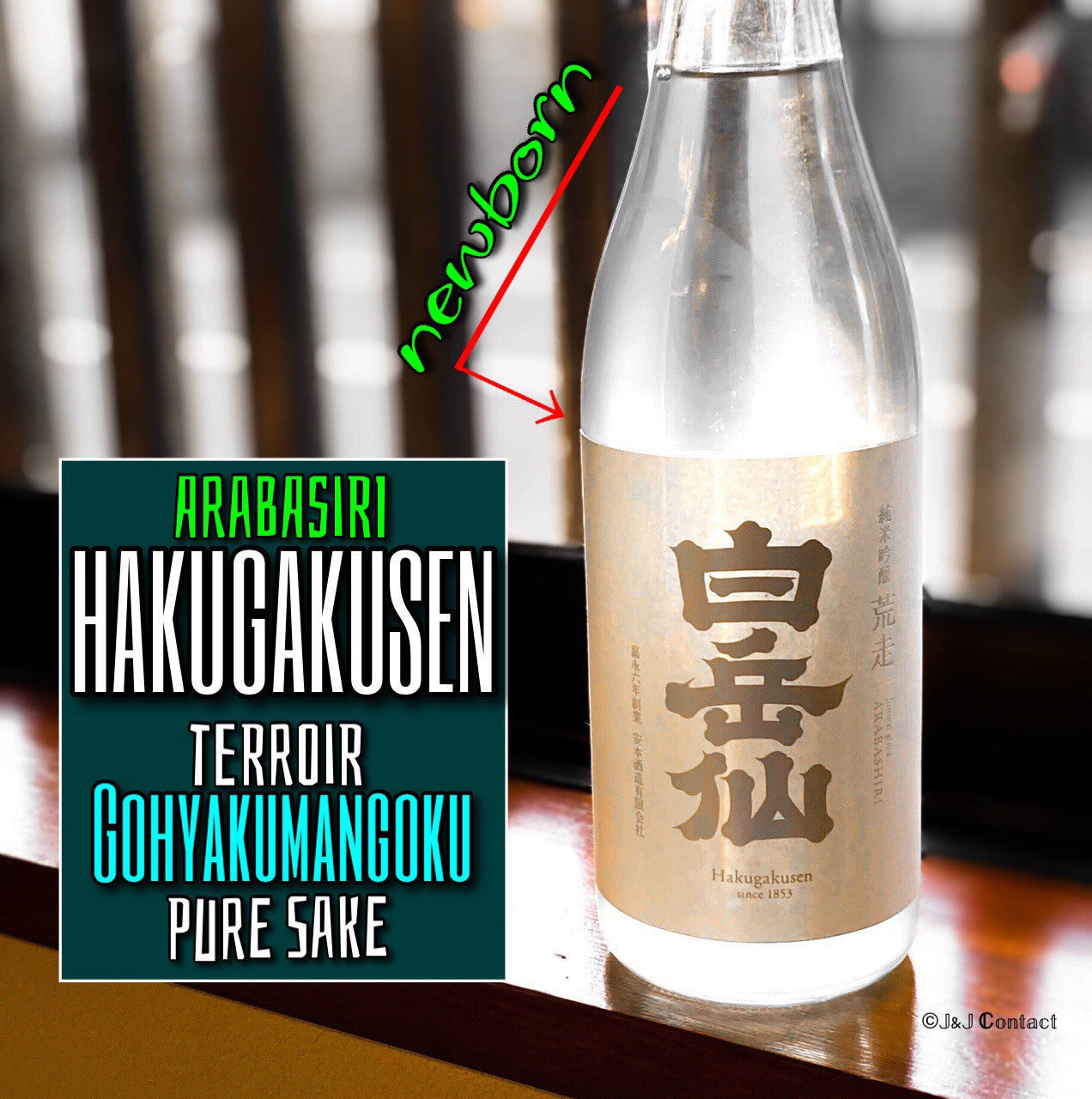 【白岳仙】純米吟醸 荒走 ARABASHIRI 生酒